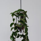 Portico Planter
