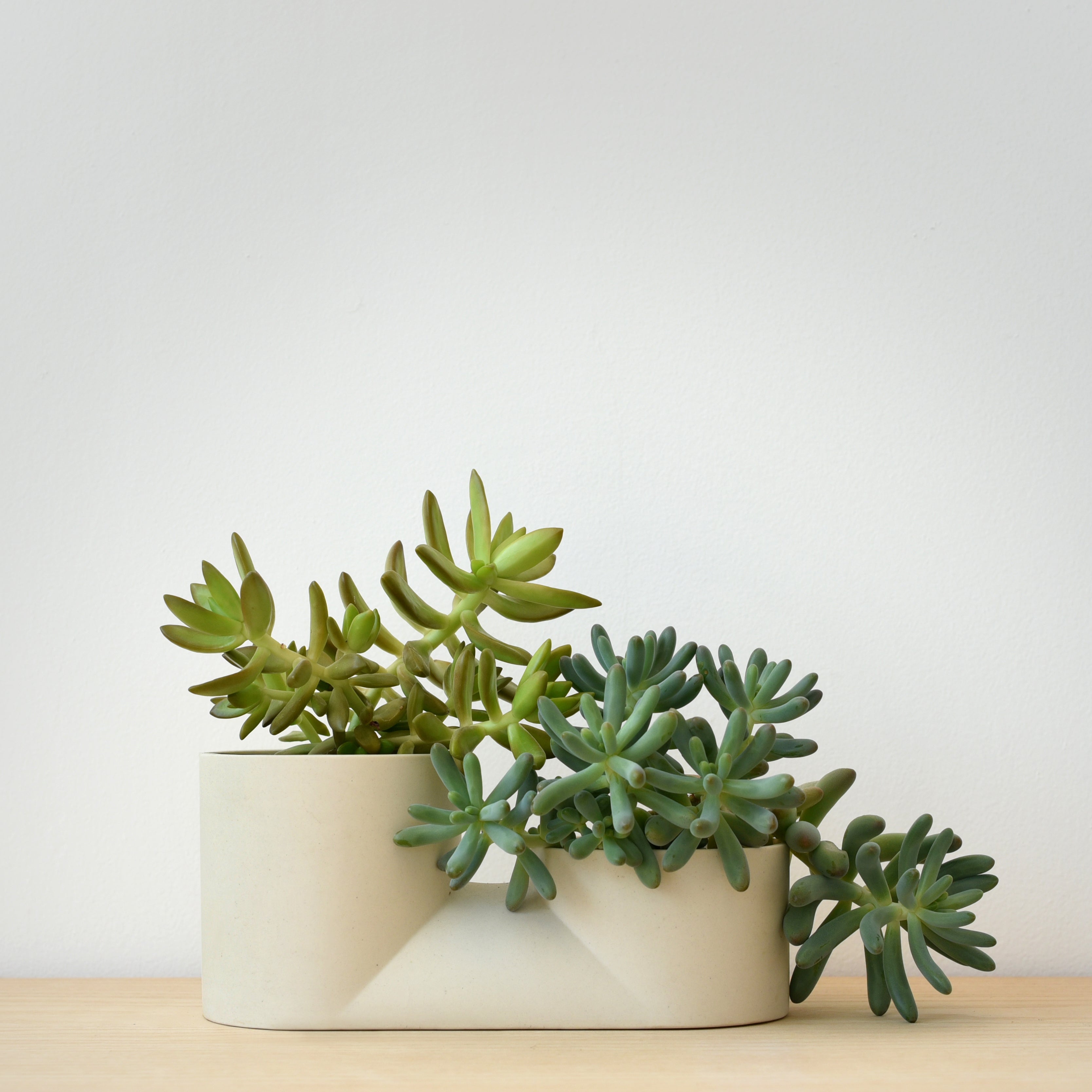 Double Planter