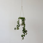 Portico Planter