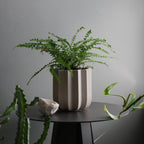 Wrap Planter - 4 sizes