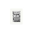 Hollywood Dog in Sports Car