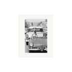 Hollywood Dog in Sports Car
