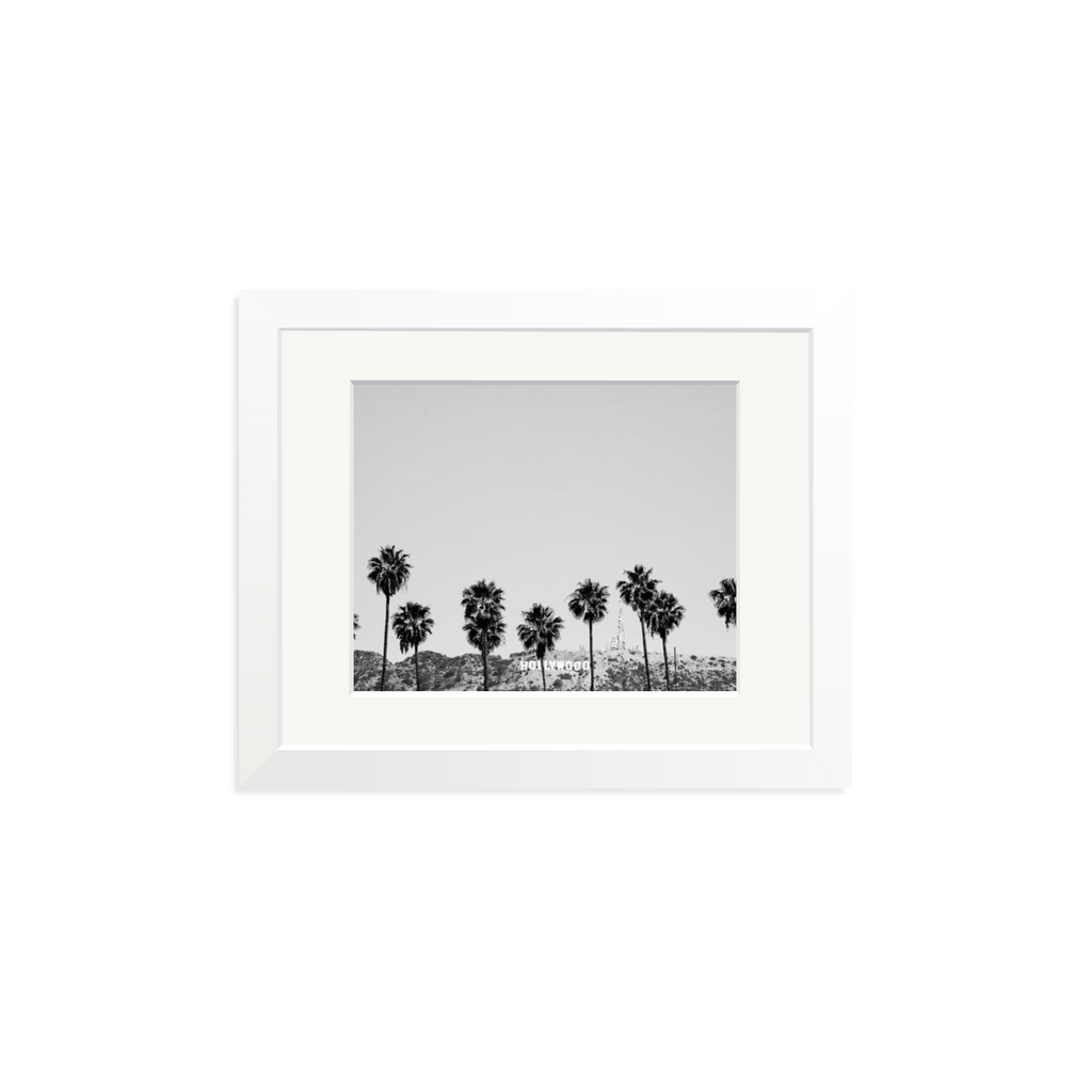 Hollywood Palm Trees