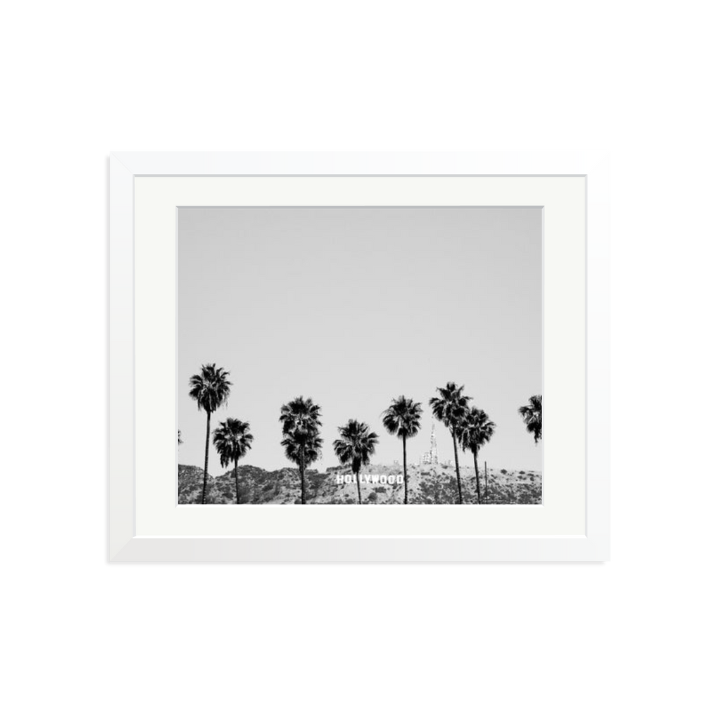 Hollywood Palm Trees