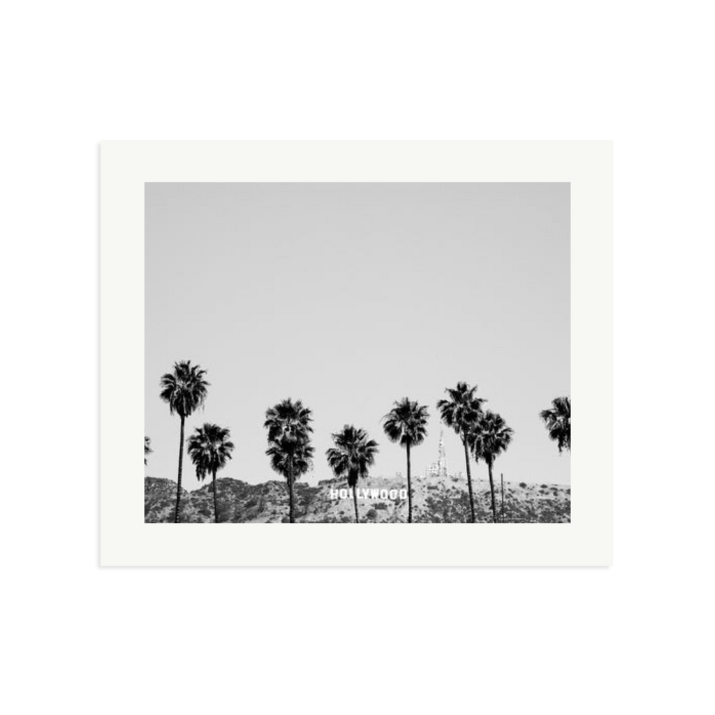 Hollywood Palm Trees