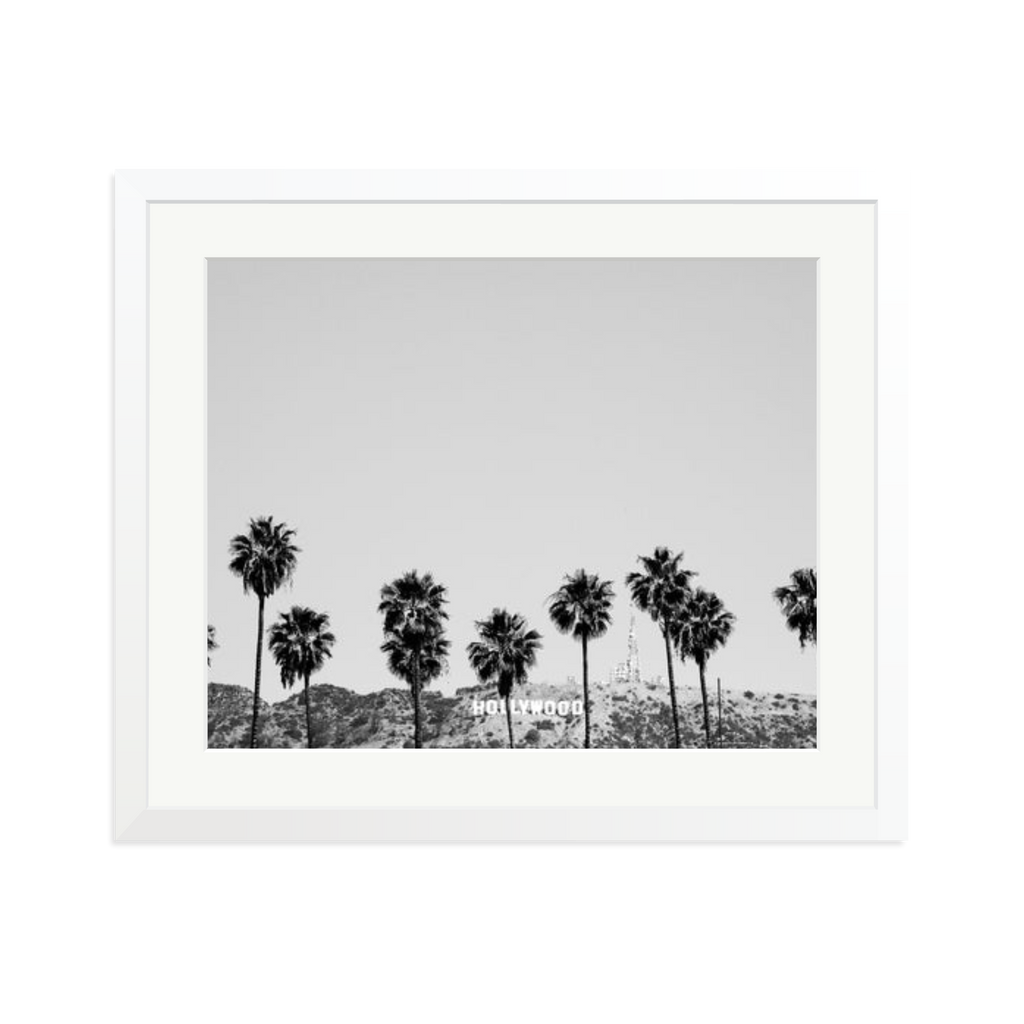 Hollywood Palm Trees
