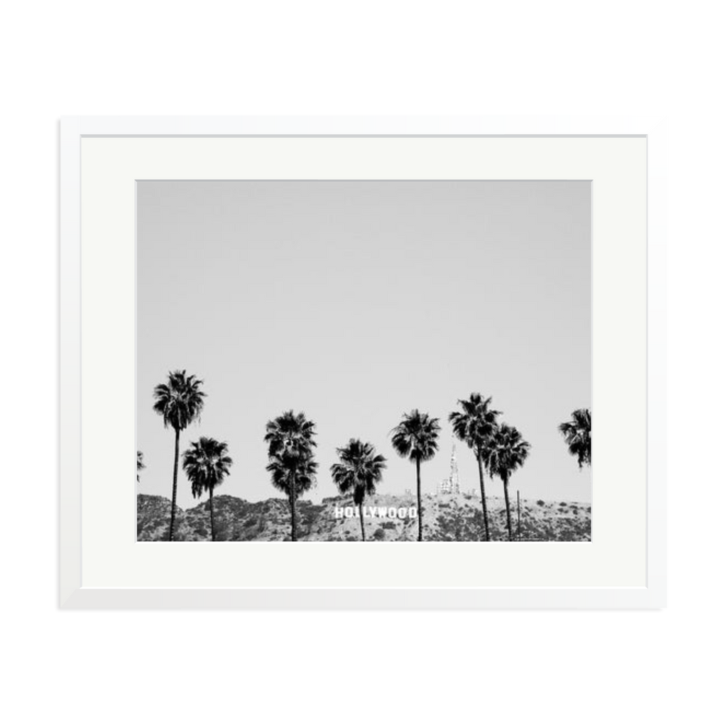 Hollywood Palm Trees