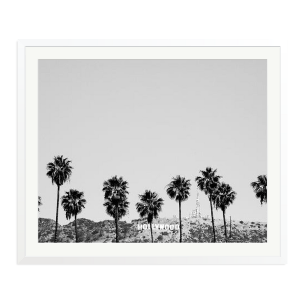 Hollywood Palm Trees