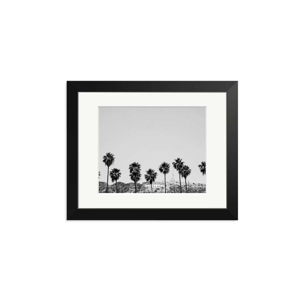 Hollywood Palm Trees