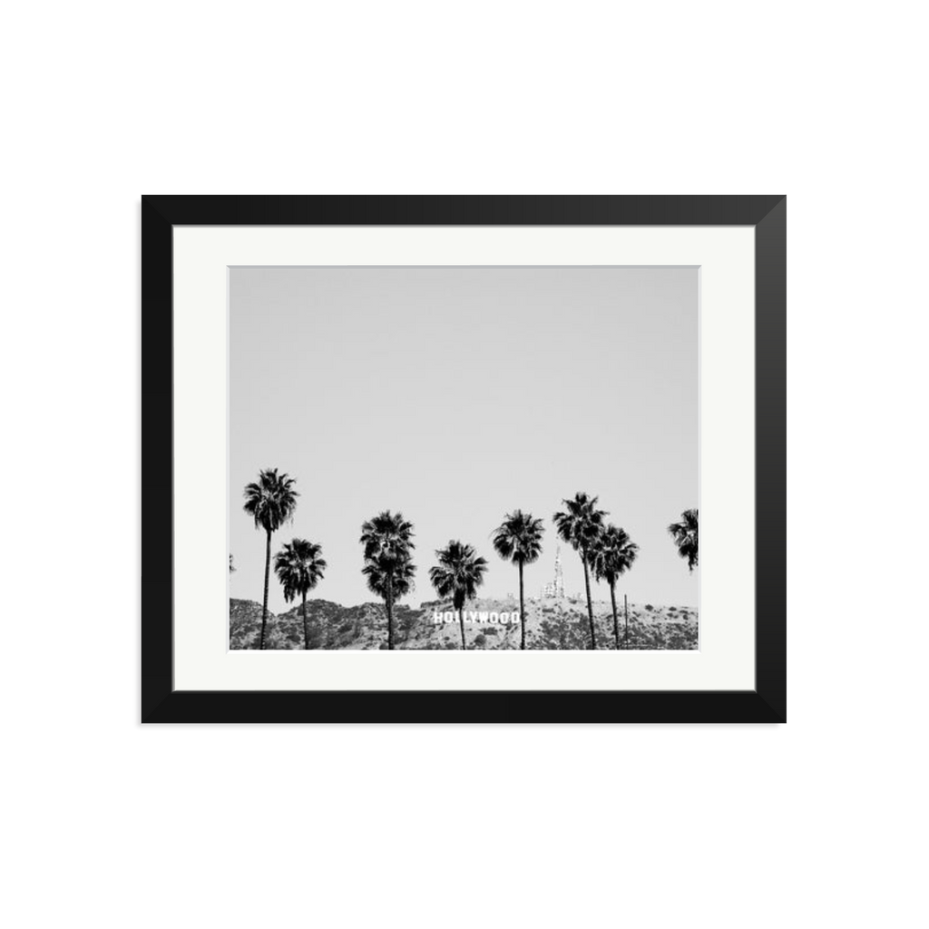 Hollywood Palm Trees