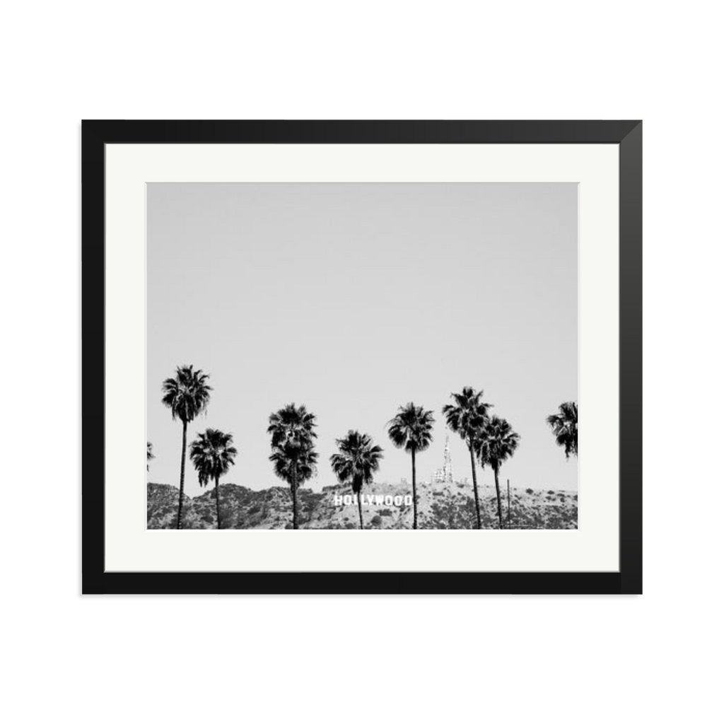 Hollywood Palm Trees