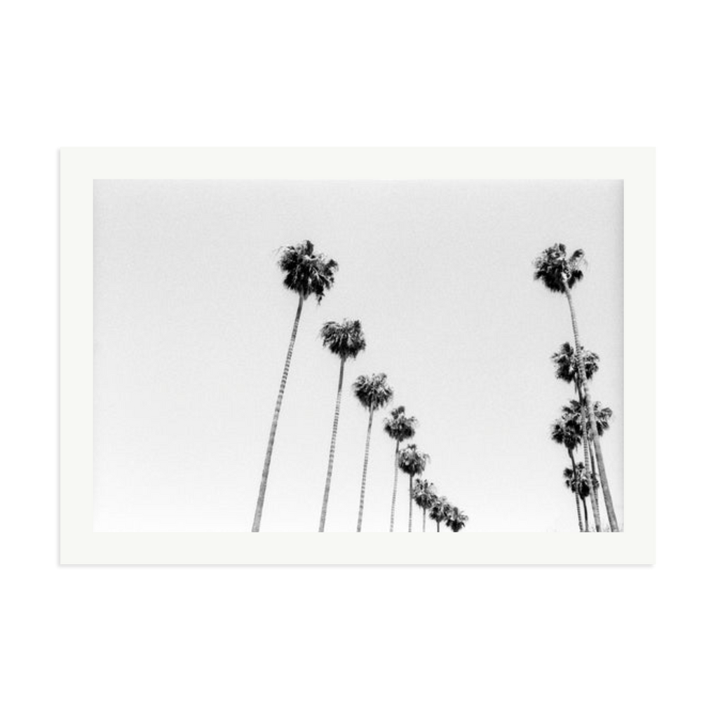 LA Palms