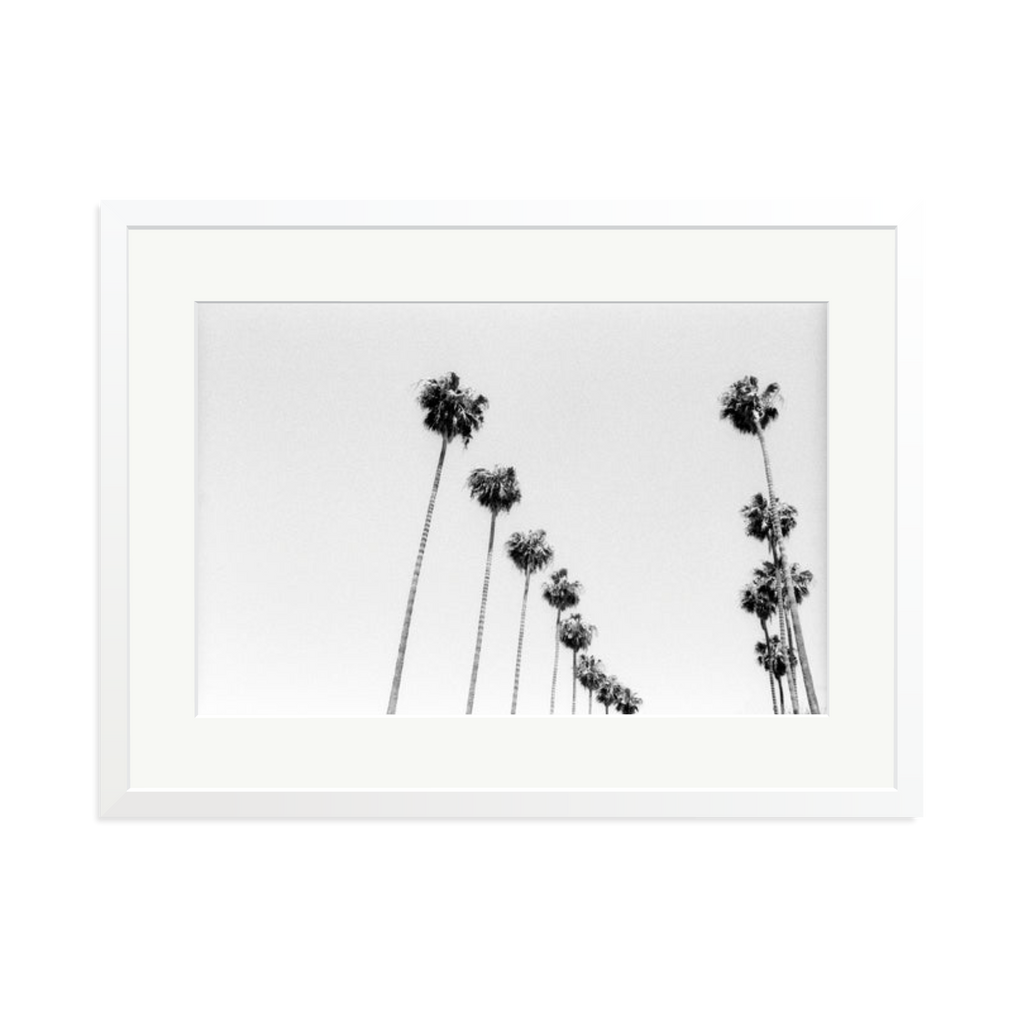 LA Palms