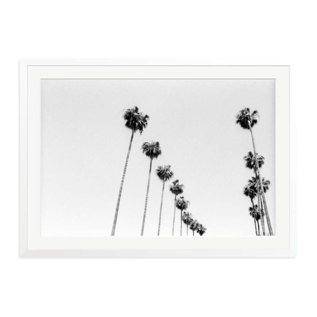 LA Palms