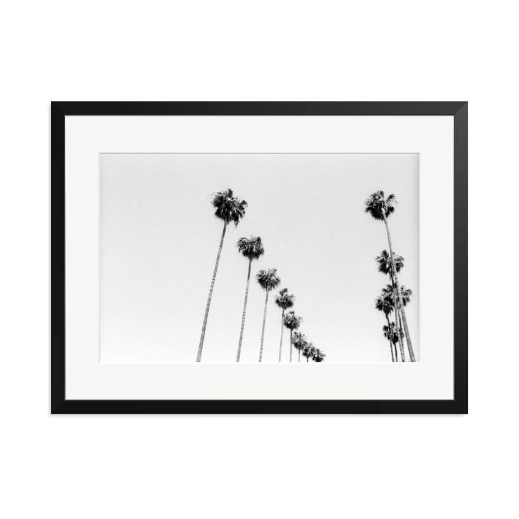 LA Palms