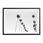LA Palms