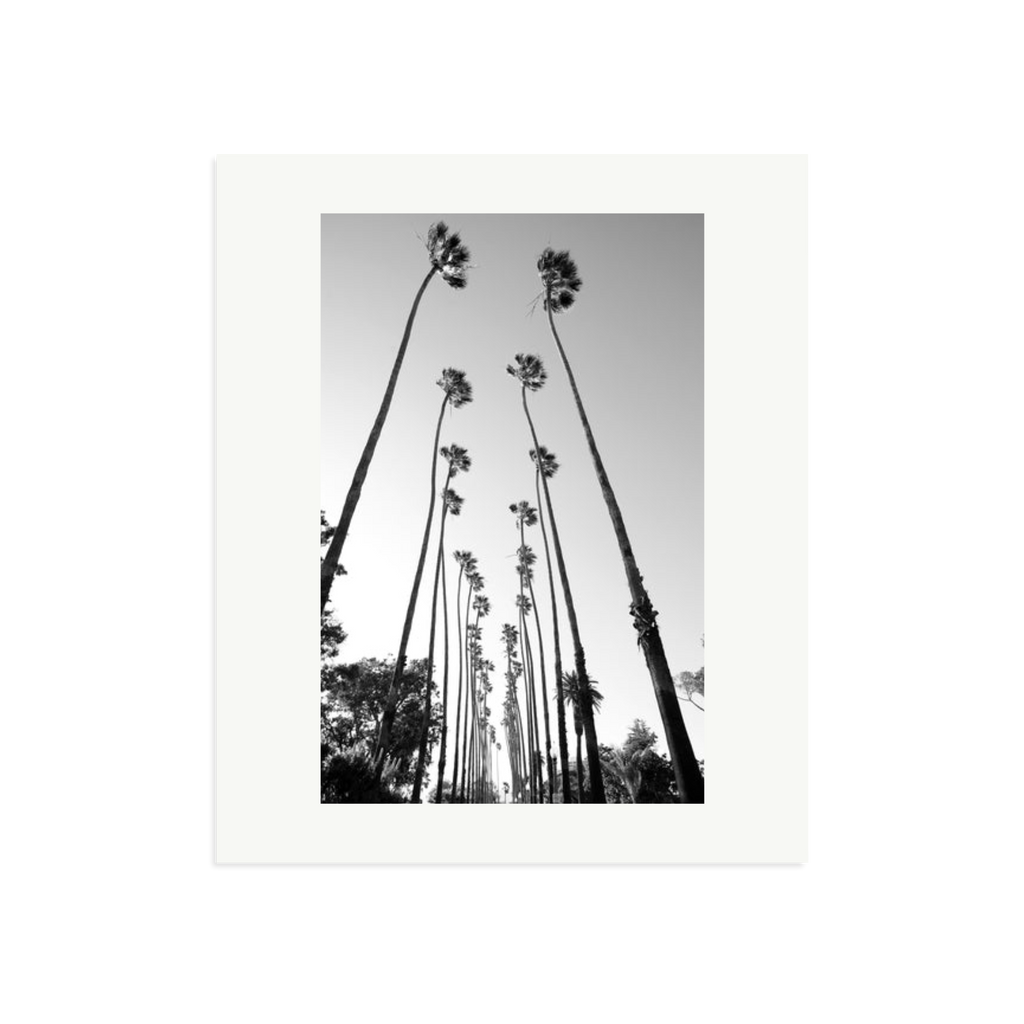 Palm Trees Road