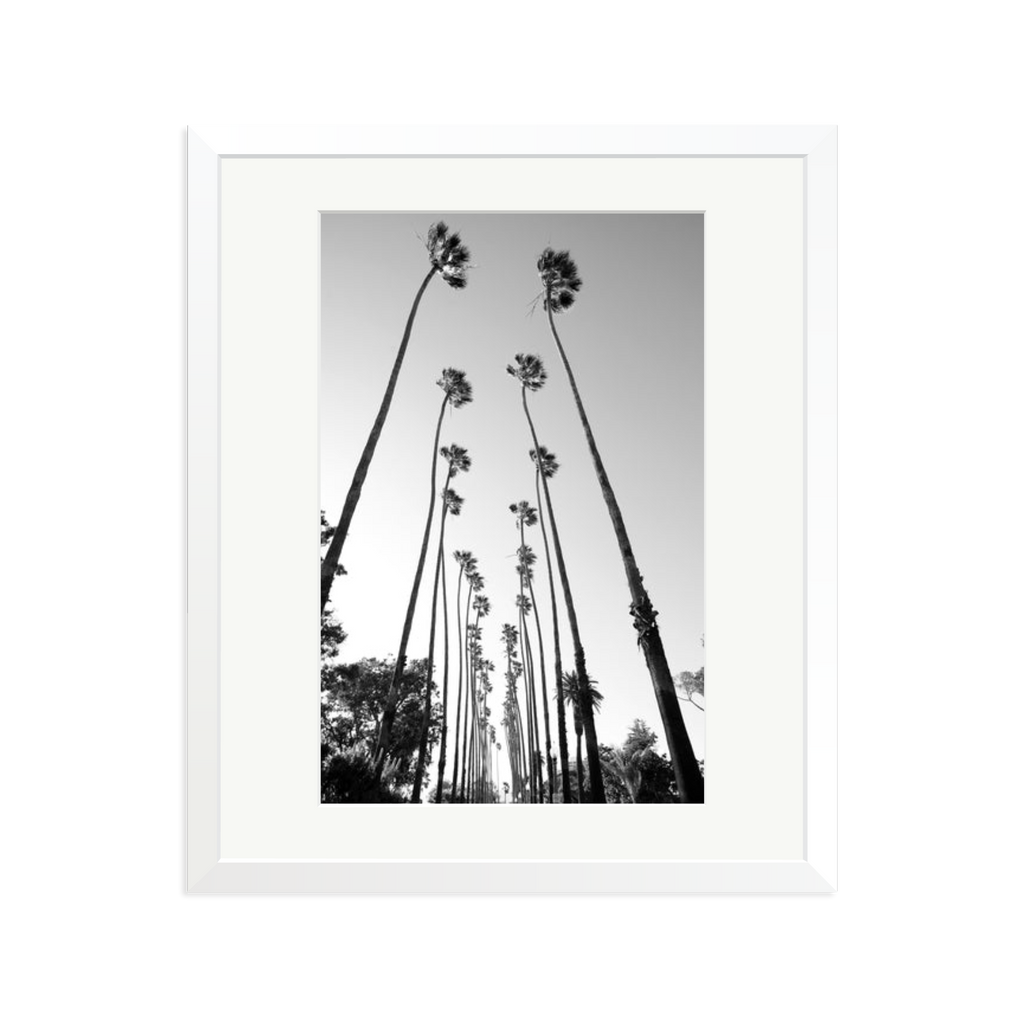 Palm Trees Road