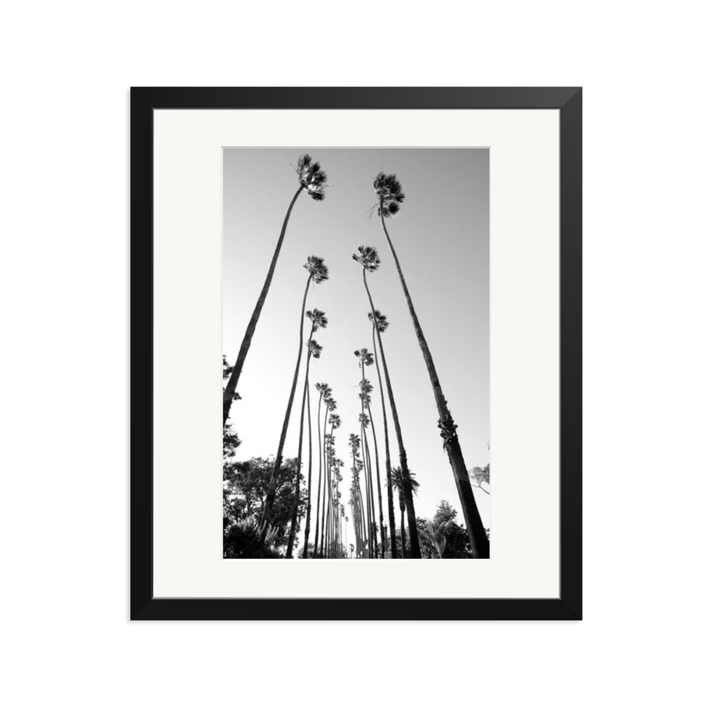 Palm Trees Road
