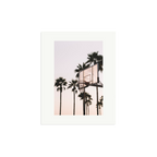Venice Hoops