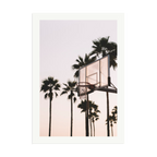Venice Hoops