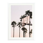 Venice Hoops