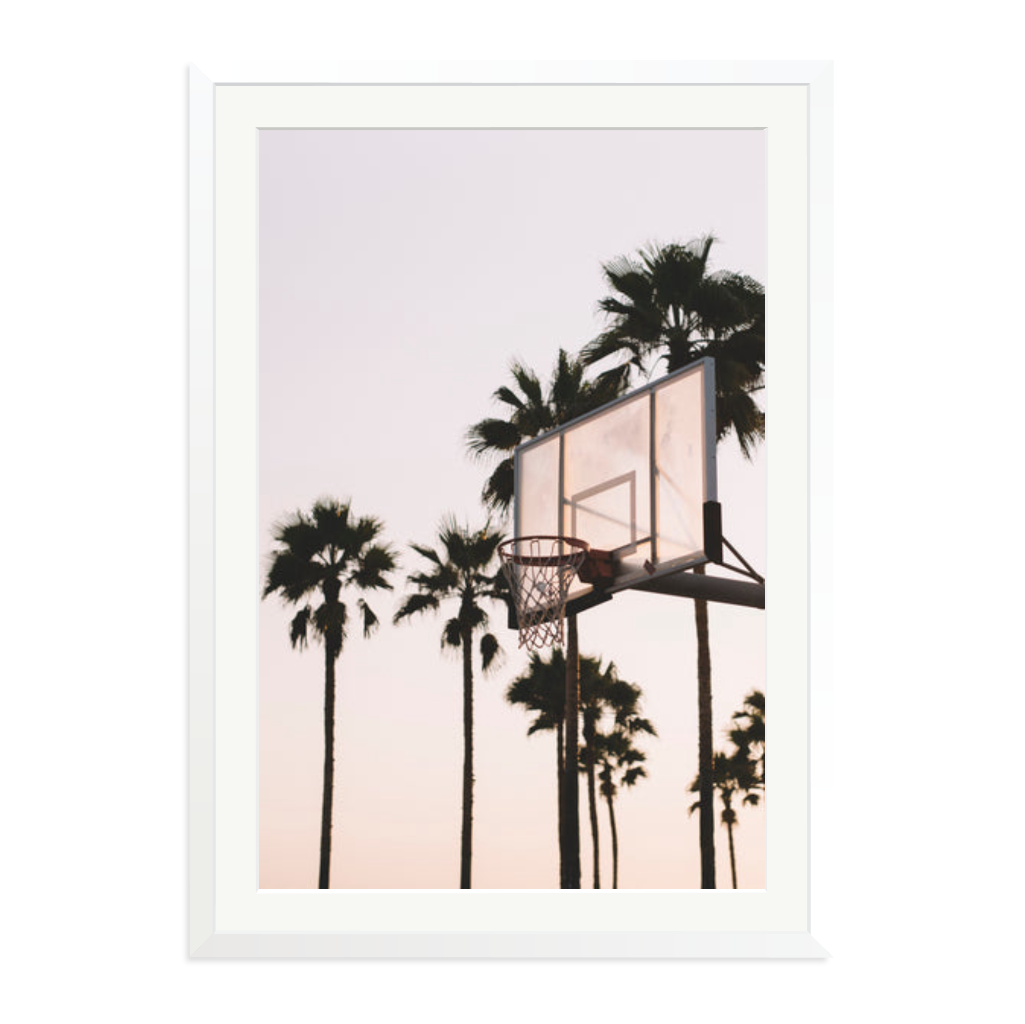 Venice Hoops