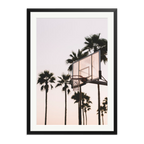 Venice Hoops