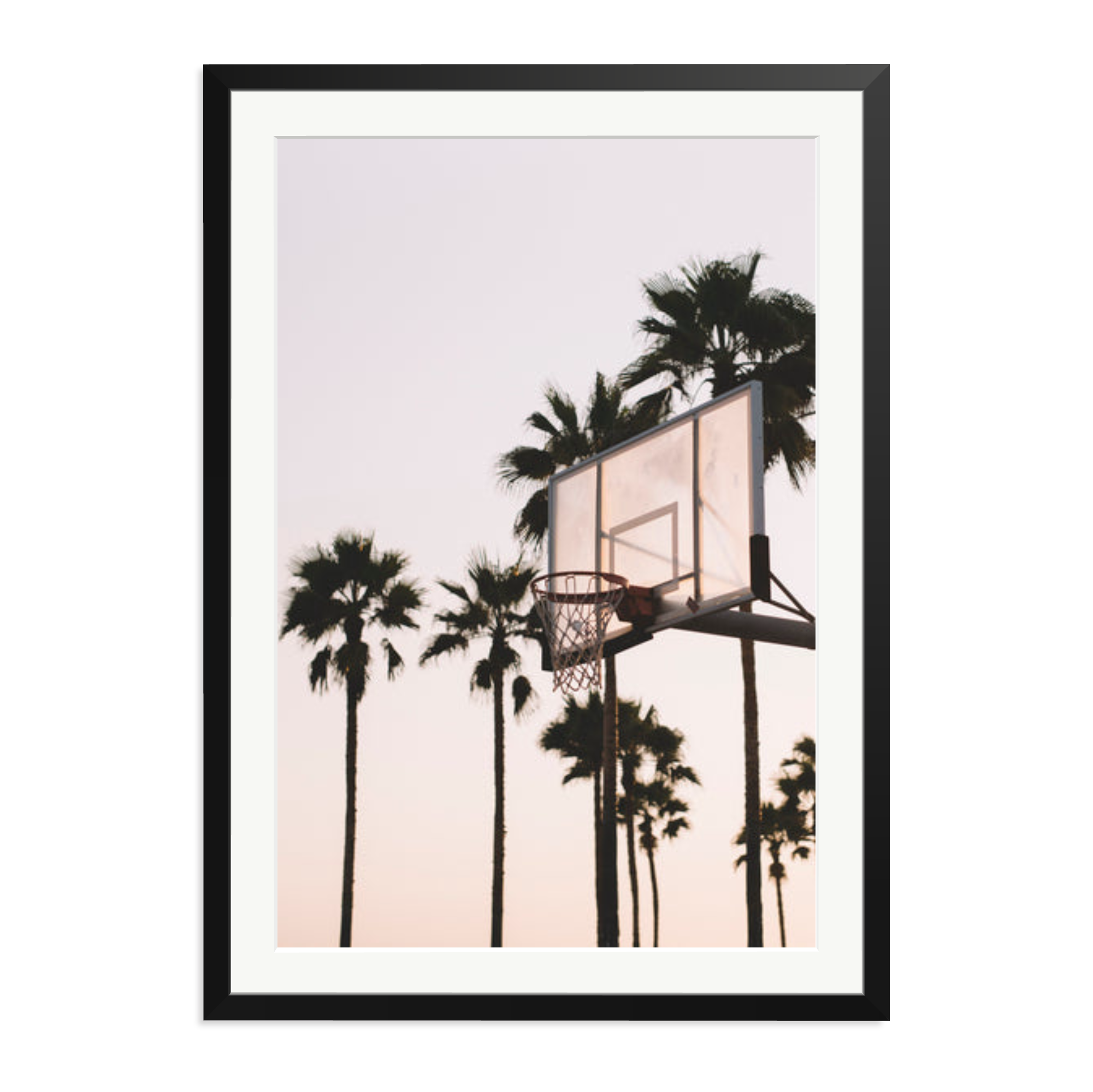 Venice Hoops